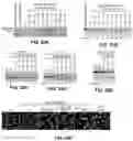 Fig. 27 - CAS12a GUIDE RNA MOLECULES AND USES THEREOF