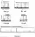 Fig. 29 - CAS12a GUIDE RNA MOLECULES AND USES THEREOF