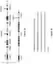 Fig. 02 - Altering Gene Expression in Modified T Cells and Uses Thereof