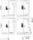 Fig. 08 - Altering Gene Expression in Modified T Cells and Uses Thereof