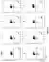 Fig. 09 - Altering Gene Expression in Modified T Cells and Uses Thereof