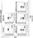 Fig. 101 - Altering Gene Expression in Modified T Cells and Uses Thereof