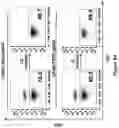 Fig. 107 - Altering Gene Expression in Modified T Cells and Uses Thereof