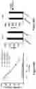 Fig. 112 - Altering Gene Expression in Modified T Cells and Uses Thereof