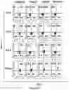 Fig. 117 - Altering Gene Expression in Modified T Cells and Uses Thereof