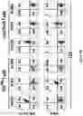 Fig. 120 - Altering Gene Expression in Modified T Cells and Uses Thereof