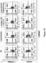 Fig. 125 - Altering Gene Expression in Modified T Cells and Uses Thereof