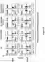 Fig. 126 - Altering Gene Expression in Modified T Cells and Uses Thereof