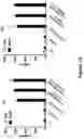 Fig. 127 - Altering Gene Expression in Modified T Cells and Uses Thereof