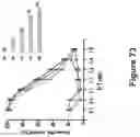 Fig. 128 - Altering Gene Expression in Modified T Cells and Uses Thereof