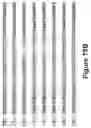 Fig. 135 - Altering Gene Expression in Modified T Cells and Uses Thereof