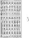 Fig. 139 - Altering Gene Expression in Modified T Cells and Uses Thereof