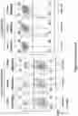 Fig. 144 - Altering Gene Expression in Modified T Cells and Uses Thereof