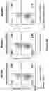 Fig. 145 - Altering Gene Expression in Modified T Cells and Uses Thereof