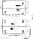 Fig. 15 - Altering Gene Expression in Modified T Cells and Uses Thereof