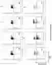 Fig. 19 - Altering Gene Expression in Modified T Cells and Uses Thereof