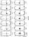 Fig. 27 - Altering Gene Expression in Modified T Cells and Uses Thereof