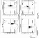 Fig. 29 - Altering Gene Expression in Modified T Cells and Uses Thereof