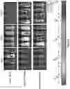 Fig. 32 - Altering Gene Expression in Modified T Cells and Uses Thereof