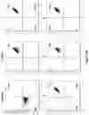 Fig. 35 - Altering Gene Expression in Modified T Cells and Uses Thereof