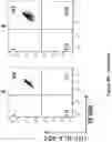 Fig. 36 - Altering Gene Expression in Modified T Cells and Uses Thereof