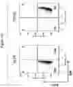 Fig. 43 - Altering Gene Expression in Modified T Cells and Uses Thereof