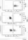 Fig. 50 - Altering Gene Expression in Modified T Cells and Uses Thereof