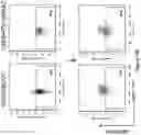 Fig. 53 - Altering Gene Expression in Modified T Cells and Uses Thereof