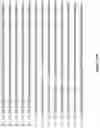 Fig. 56 - Altering Gene Expression in Modified T Cells and Uses Thereof