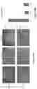 Fig. 60 - Altering Gene Expression in Modified T Cells and Uses Thereof