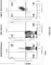 Fig. 66 - Altering Gene Expression in Modified T Cells and Uses Thereof