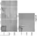 Fig. 87 - Altering Gene Expression in Modified T Cells and Uses Thereof