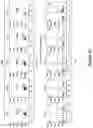 Fig. 91 - Altering Gene Expression in Modified T Cells and Uses Thereof