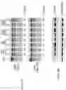 Fig. 04 - Artificial nucleases comprising engineered cleavage half-domains