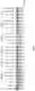 Fig. 05 - Artificial nucleases comprising engineered cleavage half-domains