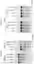 Fig. 06 - Artificial nucleases comprising engineered cleavage half-domains