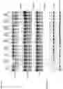Fig. 07 - Artificial nucleases comprising engineered cleavage half-domains