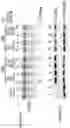 Fig. 08 - Artificial nucleases comprising engineered cleavage half-domains