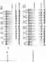Fig. 15 - Artificial nucleases comprising engineered cleavage half-domains