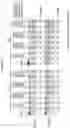 Fig. 19 - Artificial nucleases comprising engineered cleavage half-domains