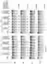 Fig. 20 - Artificial nucleases comprising engineered cleavage half-domains