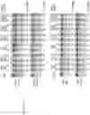 Fig. 21 - Artificial nucleases comprising engineered cleavage half-domains