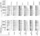 Fig. 27 - Artificial nucleases comprising engineered cleavage half-domains