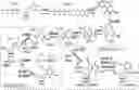 Fig. 01 - MATERIALS AND METHODS FOR REDUCING NUCLEIC ACID DEGRADATION IN BACTERIA