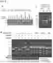 Fig. 03 - MATERIALS AND METHODS FOR REDUCING NUCLEIC ACID DEGRADATION IN BACTERIA