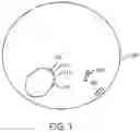 Fig. 02 - Yeast-Based Oral Vaccination
