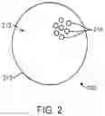 Fig. 03 - Yeast-Based Oral Vaccination