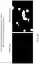 Fig. 30 - Yeast-Based Oral Vaccination