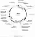 Fig. 07 - Compositions and methods for driving T1 event diversity