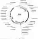 Fig. 08 - Compositions and methods for driving T1 event diversity